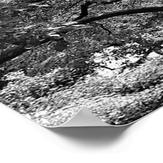 Hoofdbatterij Poster (Hoek)