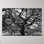 Hoofdbatterij Poster (Voorkant)