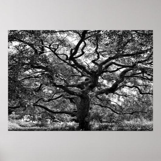 Hoofdbatterij Poster (Voorkant)