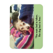 "Hoofdbed genomen/hondenbed vrij" 3x4 foto magneet (Verticaal)