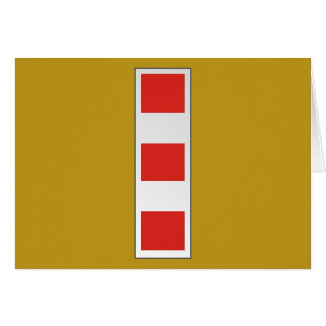 Hoofdbevelhebber van USMC CWO4 W-4 (Voorkant Horizontaal)