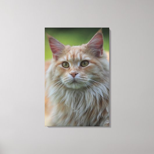 Hoofddekmantel Canvas Afdruk (Voorkant)