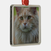 Hoofddekmantel Metalen Ornament (Rechts)