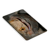  hoofddraak magneet (Rechterzijde)