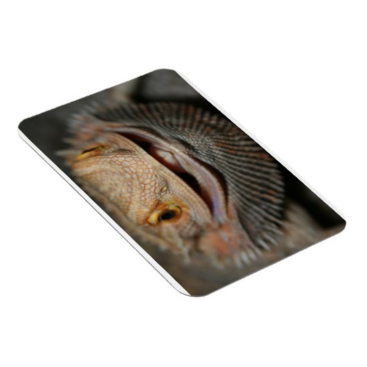  hoofddraak magneet (Rechterzijde)