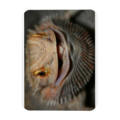  hoofddraak magneet (Verticaal)