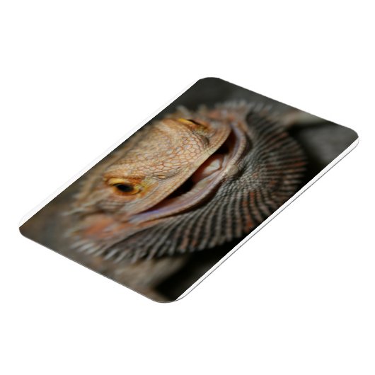  hoofddraak magneet (Linkerzijde)