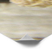  hoofddraak poster (Hoek)