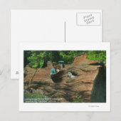 Hoofden blootgesteld in Knot Holes van Giant Redwo Briefkaart (Voorkant / Achterkant)