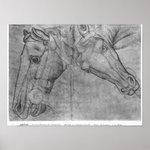 Hoofden van paarden uit het Album van de Vallardi Poster