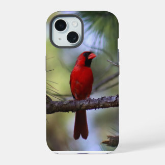 Hoofdkaartetelefoonhoesje iPhone 15 Case