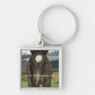 Hoofdketen, UIL Sleutelhanger