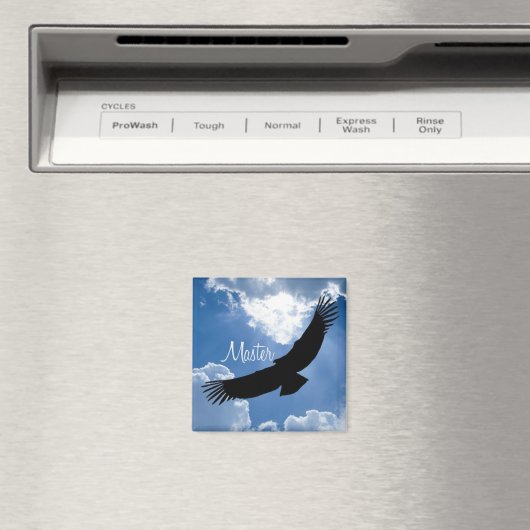 hoofdmagneet magneet (Insitu (Vaatwasser))