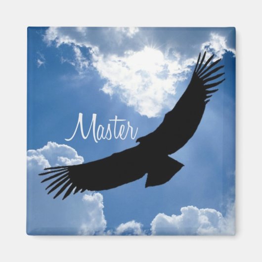 hoofdmagneet magneet (Voorkant)