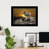 HOOFDMAN BIG HORN SHEEP Wildlife Foto Poster (Thuiskantoor)