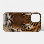 Hoofdopname van Siberische Tijger iPhone Hoesje (Achterkant horizontaal)