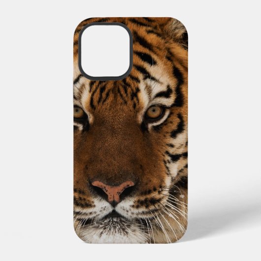 Hoofdopname van Siberische Tijger iPhone Hoesje (Achterkant)