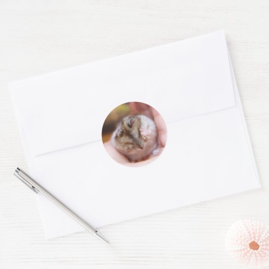 Hoofdpijn bij hamsters ronde sticker (Envelop)