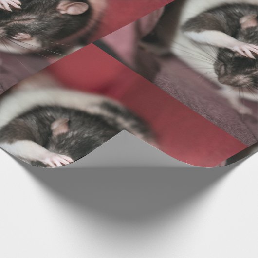 Hoofdpijn Cadeaupapier (Hoek)