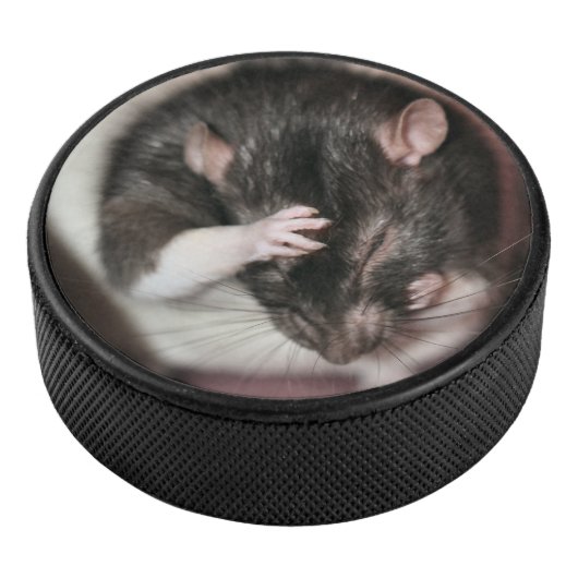 Hoofdpijn Hockey Puck (3/4)