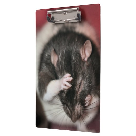 Hoofdpijn Klembord (Links)