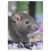 Hoofdpijn Klembord (Achterkant)