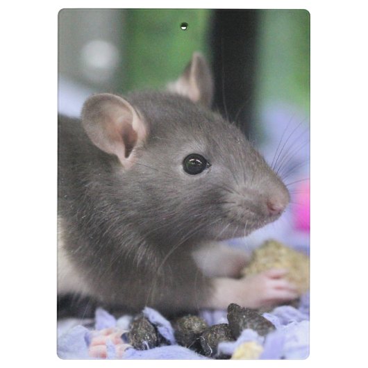 Hoofdpijn Klembord (Achterkant)