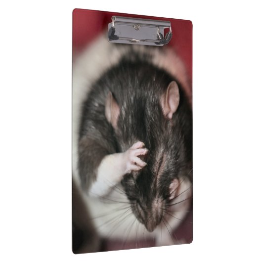 Hoofdpijn Klembord (Rechts)