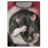 Hoofdpijn Klembord (Voorkant)