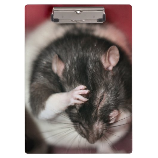 Hoofdpijn Klembord (Voorkant)