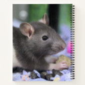 Hoofdpijn Notitieboek (Achterkant)