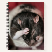 Hoofdpijn Notitieboek (Voorkant)