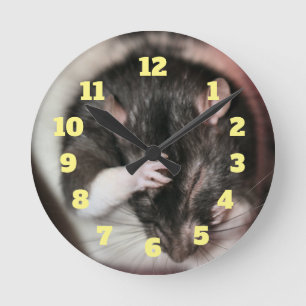 Hoofdpijn! Ronde Klok