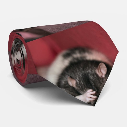 Hoofdpijn Stropdas (Opgerold)