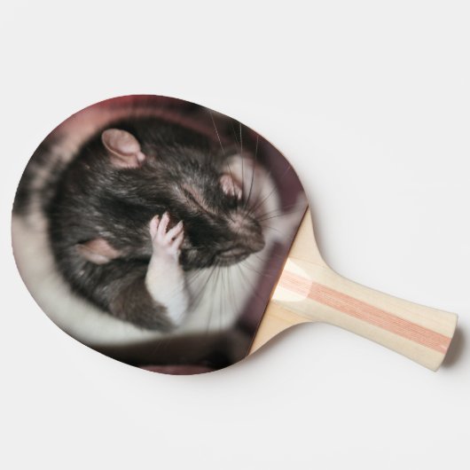 Hoofdpijn Tafeltennisbatje (Zijkant)