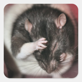 Hoofdpijn! Vierkante Sticker