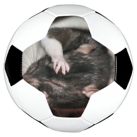 Hoofdpijn! Voetbal (Gedraaid)