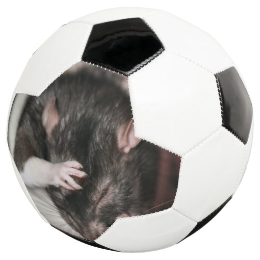 Hoofdpijn! Voetbal (Drie kwart)