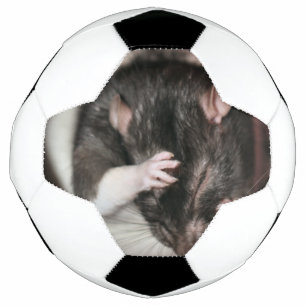 Hoofdpijn! Voetbal