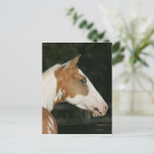 Hoofdschot 2 van het schilderpaard briefkaart (Staand voorkant)