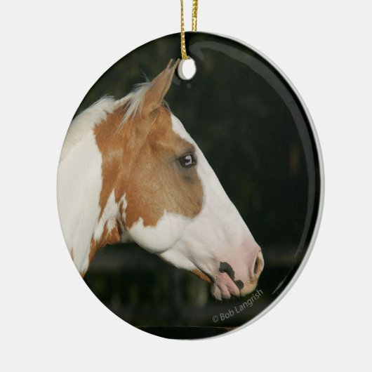 Hoofdschot 2 van het schilderpaard keramisch ornament (Links)