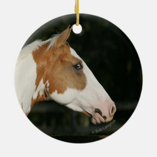 Hoofdschot 2 van het schilderpaard keramisch ornament (Achterkant)