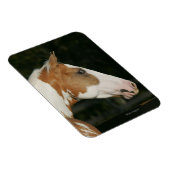 Hoofdschot 2 van het schilderpaard magneet (Rechterzijde)