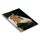 Hoofdschot 2 van het schilderpaard notitieboek (Rechterzijde)