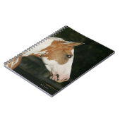 Hoofdschot 2 van het schilderpaard notitieboek (Linkerzijde)