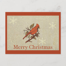 HoofdSneeuw van de Vogel van Kerstmis de Rode Feestdagenkaart