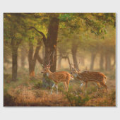 Hoofdstad of foetus, as, gespikkelde drogers of ax cadeaupapier (Vlak)