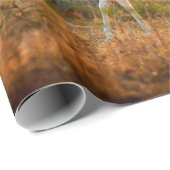 Hoofdstad of foetus, as, gespikkelde drogers of ax cadeaupapier (Rol Hoek)