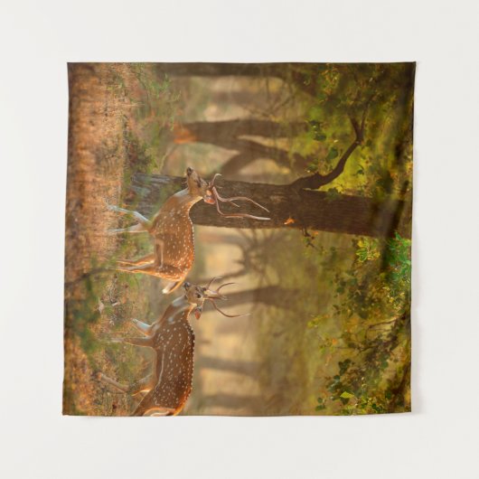 Hoofdstad of foetus, as, gespikkelde drogers of ax wandkleed (Voorkant (horizontaal))