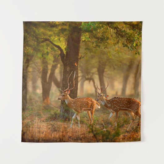 Hoofdstad of foetus, as, gespikkelde drogers of ax wandkleed (Voorkant)